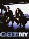 CSI: NY, Body Of Proof, Smash en Touch verdwijnen