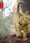 The Hidden Lives Of Pets (doc) (Netflix)