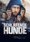 Schlafende Hunde (Duits) (Netflix)