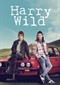 Harry Wild s3 (BBC First)