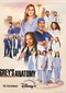 Grey's Anatomy s21 (Disney+)